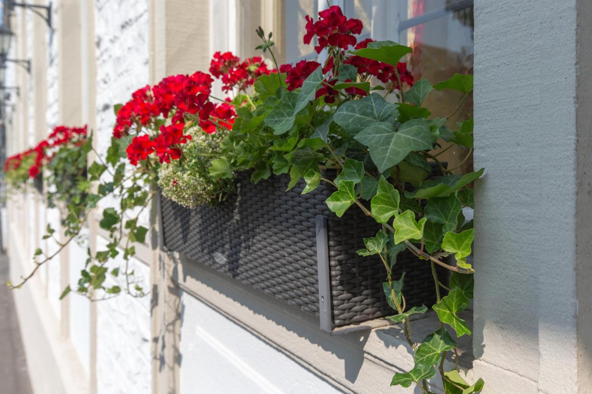 Hotel Residence Würzburg Dış mekan fotoğraf